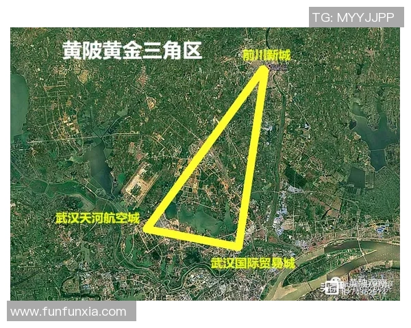 武汉羽毛球队技术分析与表现评估探讨及未来发展方向研究