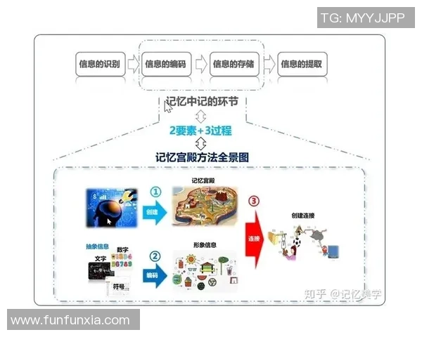 足球明星的成长历程与身价变化全景解析图解